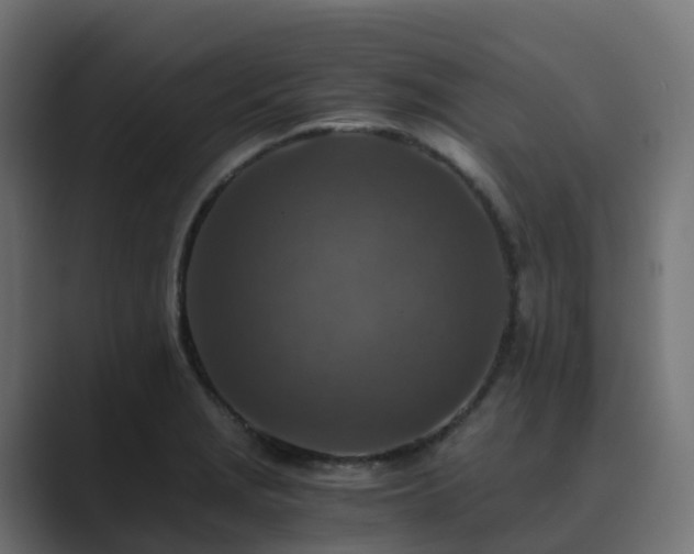 X0000089711229200706281506