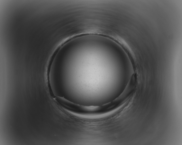 X0000089711230200706281506