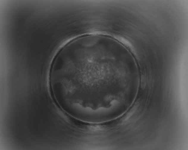 X0000089711231200706281506