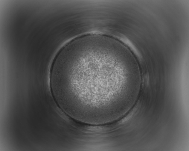 X0000089711232200706281506