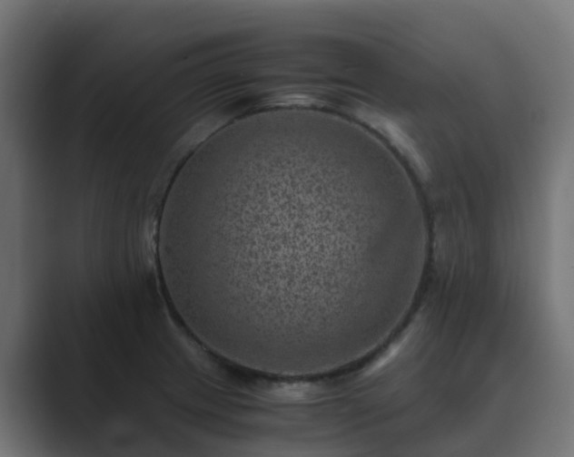 X0000089711233200706281506