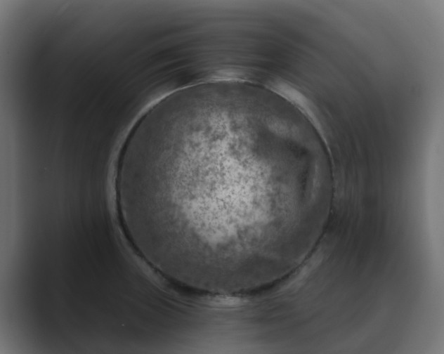 X0000089711235200706281506