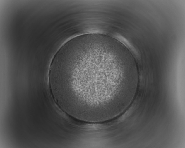 X0000089711236200706281506