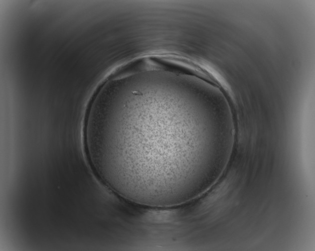 X0000089711237200706281507