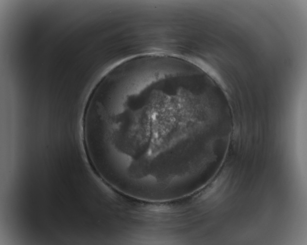 X0000089711239200706281507