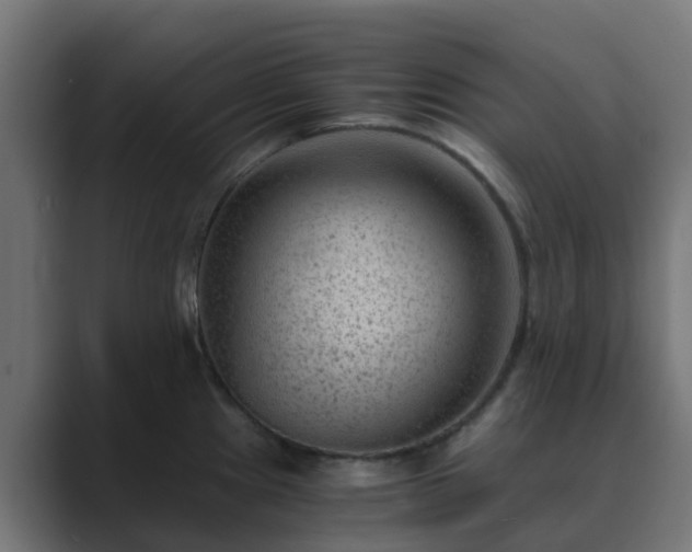 X0000089711241200706281507