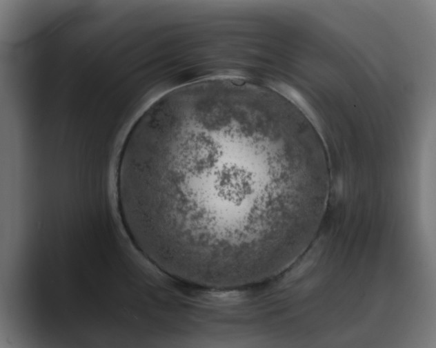 X0000089711243200706281507