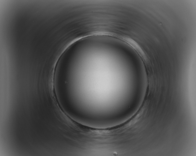 X0000089711244200706281507