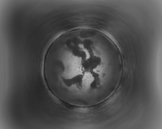 X0000089711245200706281507