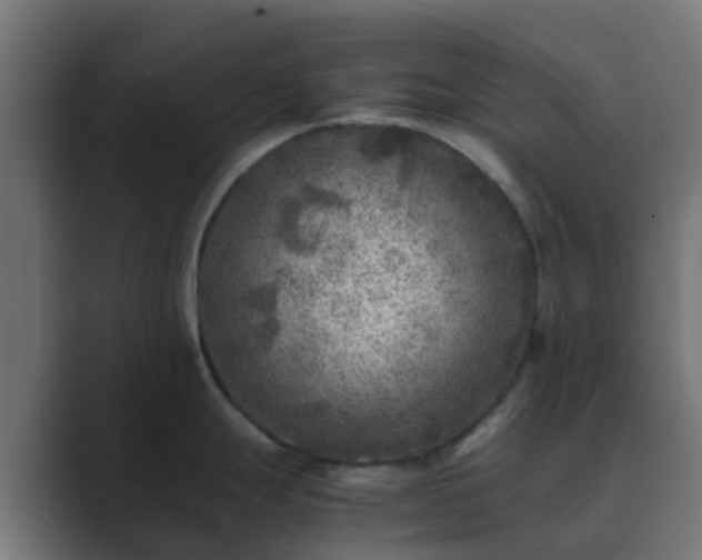 X0000089711247200706281507