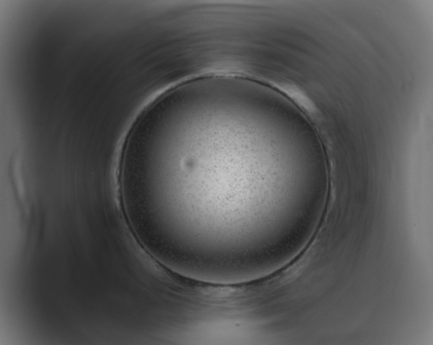 X0000089711248200706281507