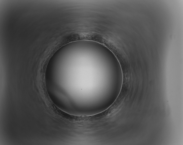 X0000089711249200706281506