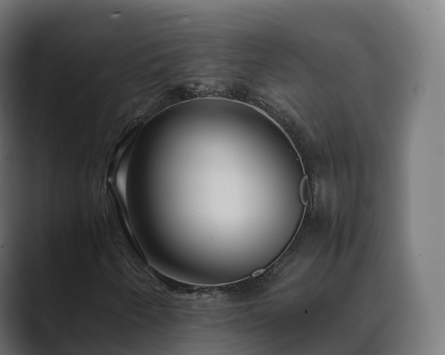 X0000089711250200706281506