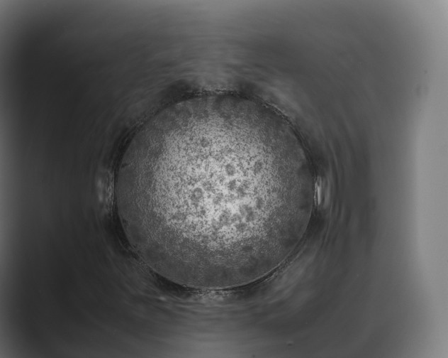 X0000089711251200706281506