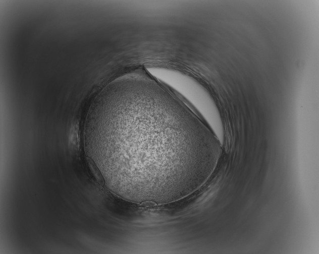 X0000089711252200706281506