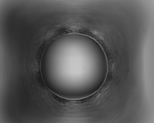 X0000089711253200706281506