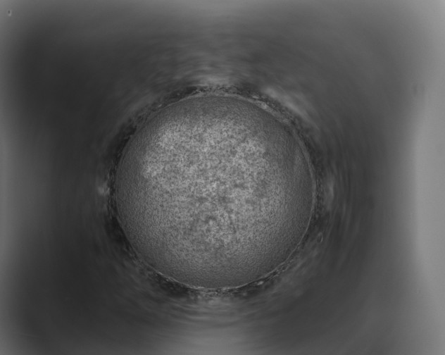 X0000089711254200706281506