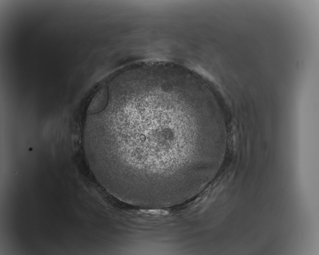 X0000089711255200706281506