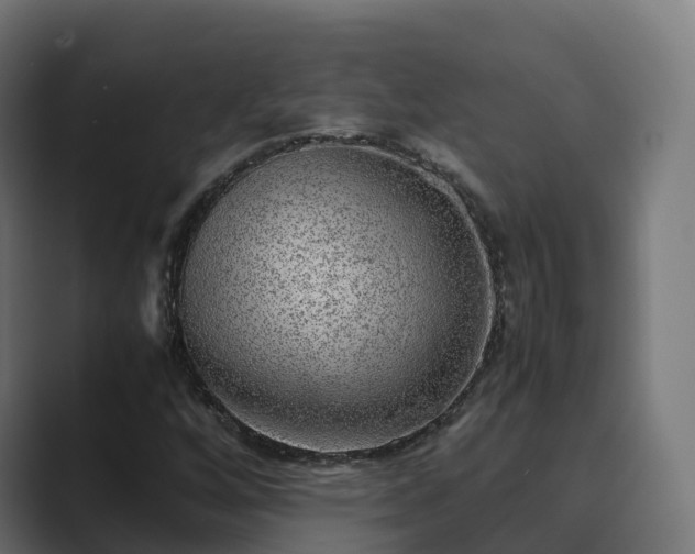 X0000089711256200706281506