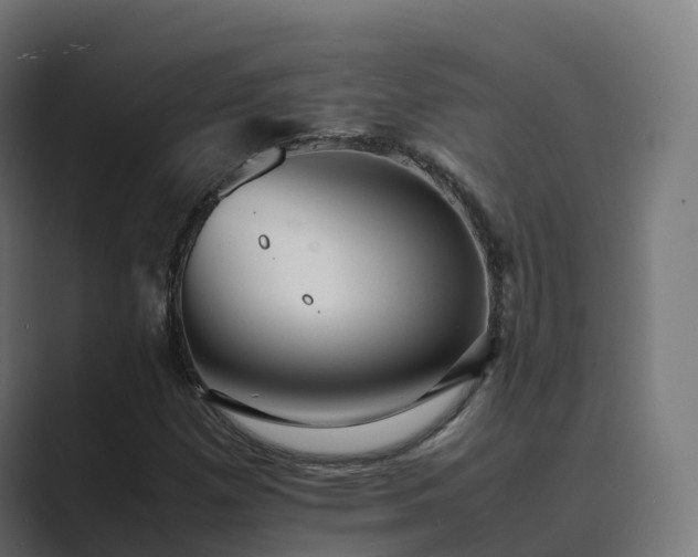 X0000089711257200706281506