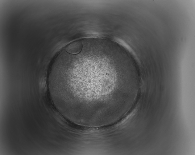 X0000089711259200706281506