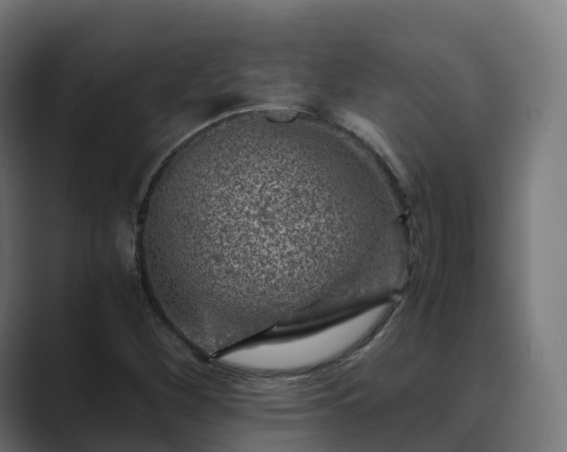 X0000089711260200706281506