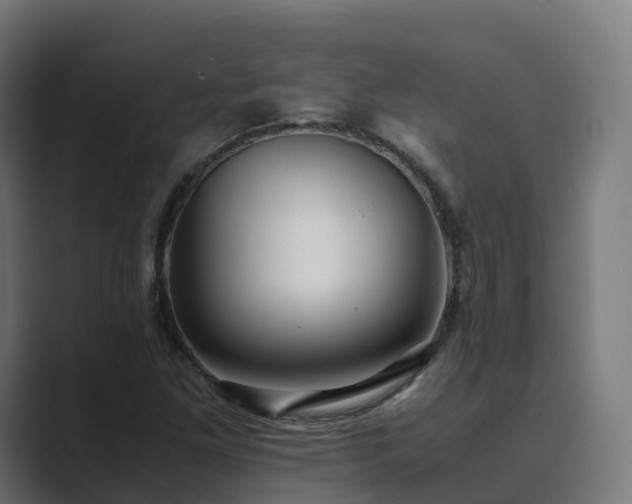 X0000089711261200706281506