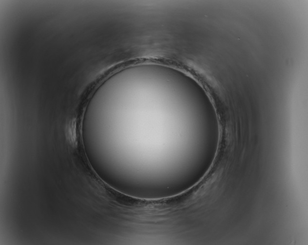 X0000089711262200706281506