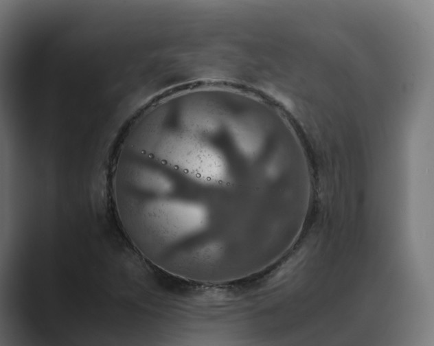 X0000089711263200706281506