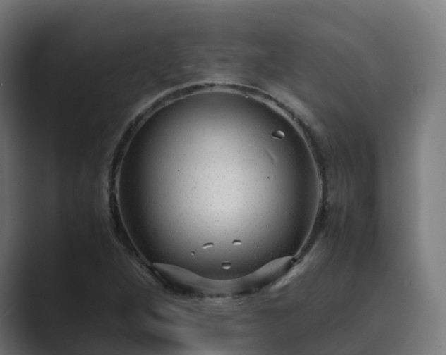 X0000089711264200706281506