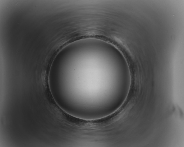 X0000089711265200706281506