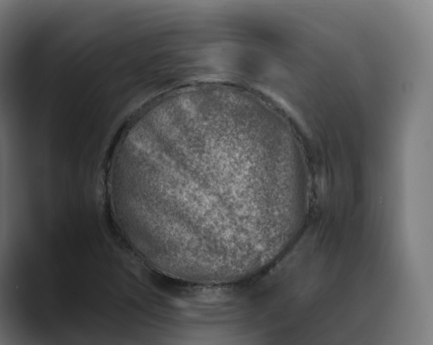 X0000089711266200706281506