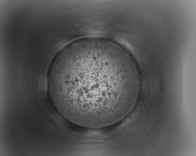 X0000089711267200706281506