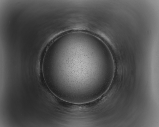 X0000089711270200706281506