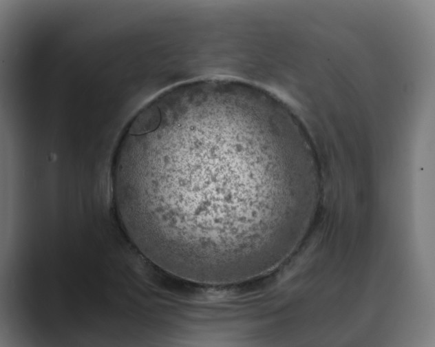 X0000089711271200706281506