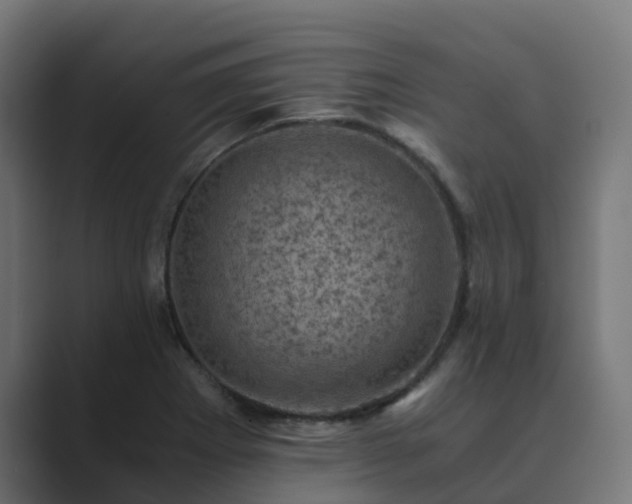 X0000089711273200706281506