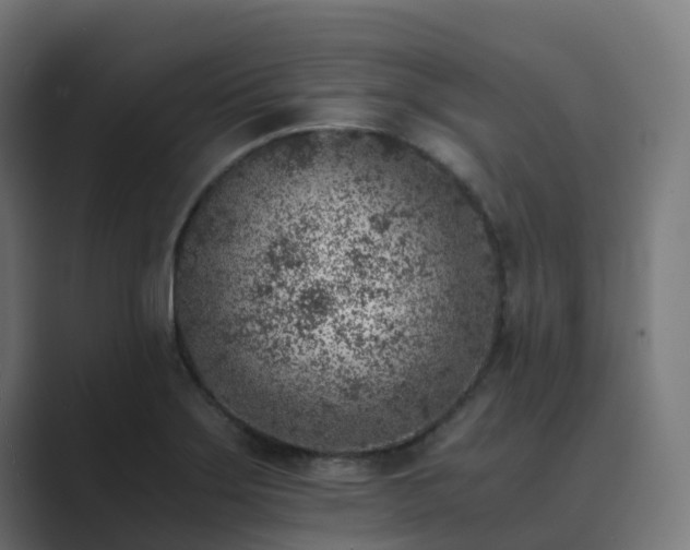 X0000089711275200706281506