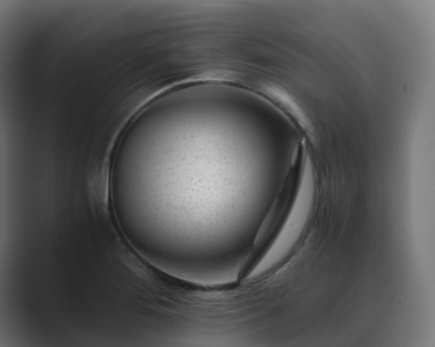 X0000089711276200706281506