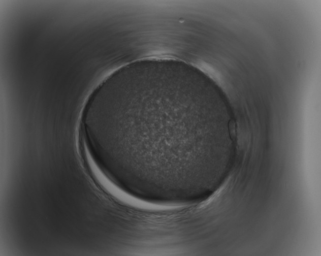 X0000089711277200706281506