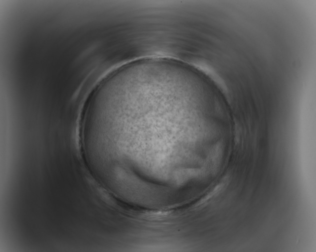 X0000089711278200706281506