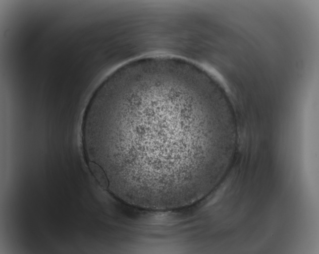 X0000089711279200706281506