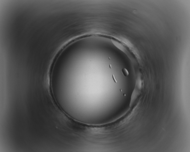 X0000089711280200706281506