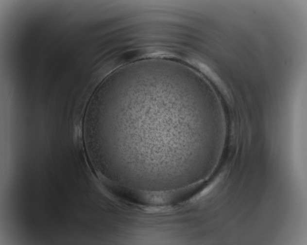 X0000089711281200706281506