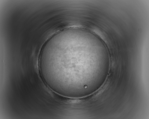 X0000089711282200706281506