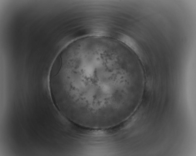 X0000089711283200706281506