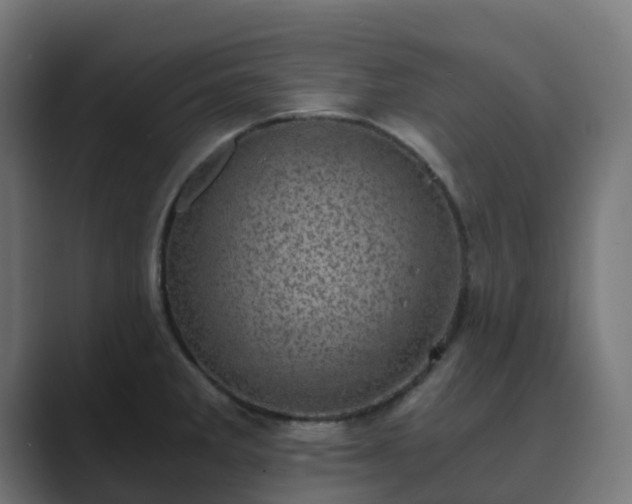 X0000089711285200706281506