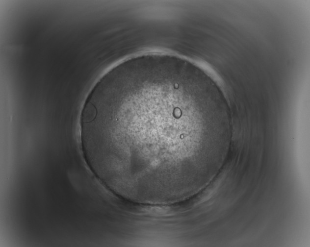 X0000089711287200706281506