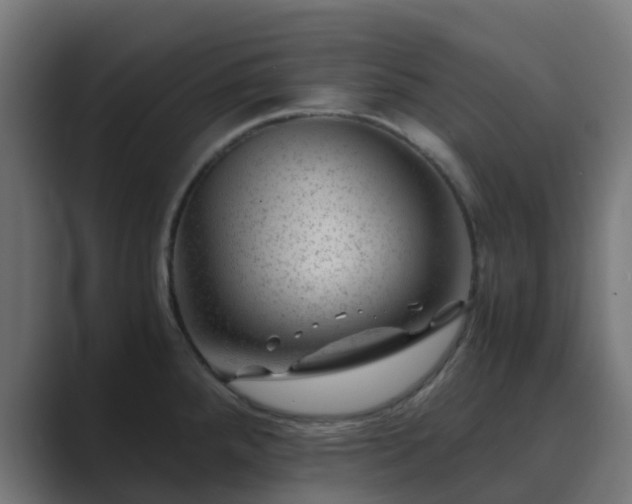 X0000089711288200706281506