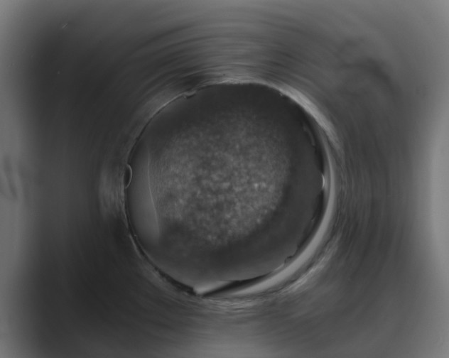 X0000089711289200706281506