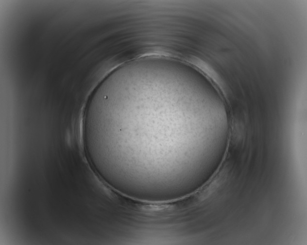 X0000089711290200706281506